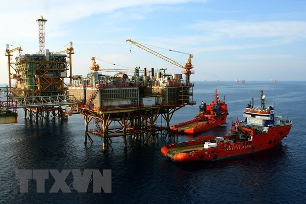 Добыча сырои нефти Petrovietnam достигает годовои цели hinh anh 1