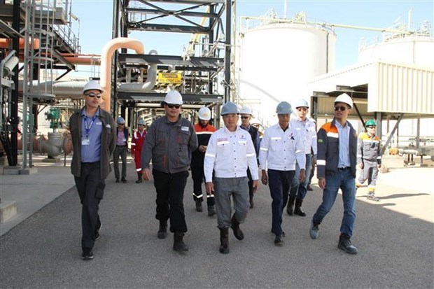 PetroVietnam ведет переговоры с Алжиром о 2-и фазе совместного нефтегазового предприятия hinh anh 1