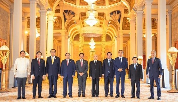 Премьер-министр Фам Минь Тьинь и лидеры стран АСЕАН встретились с королем Камбоджи hinh anh 1