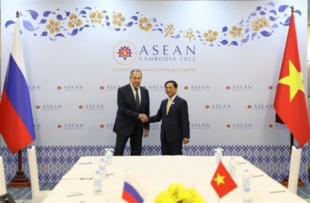Россия желает, чтобы Вьетнам и дальше оставался мостом со странами АСЕАН hinh anh 1