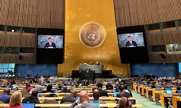 Генассамблея ООН: Вьетнам призывает к прекращению конфликта на Украине hinh anh 2