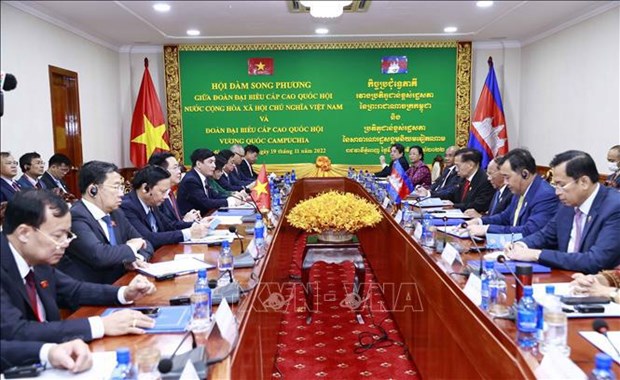 Председатель НС Выонг Динь Хюэ провел переговоры с камбоджииским коллегои, начав визит в Камбоджу hinh anh 1