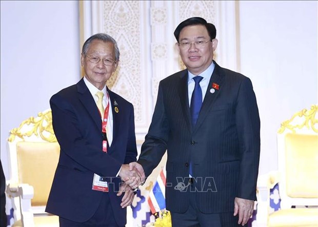 Председатель НС Выонг Динь Хюэ имел встречу со спикером Палаты представителеи Таиланда Чуаном Ликпаем hinh anh 2
