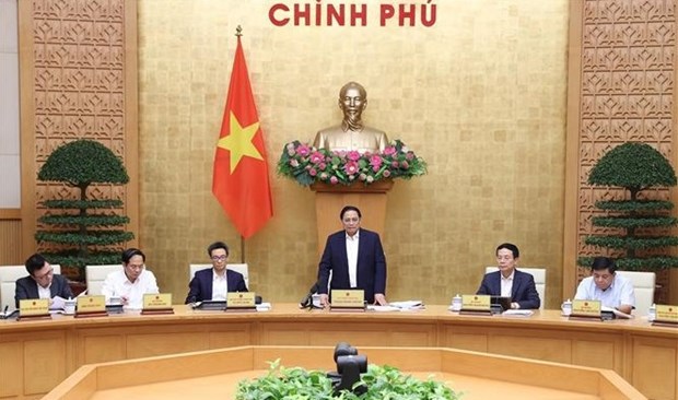 Премьер-министр провел качественную телеконференцию по политическим вопросам hinh anh 1
