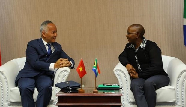 Вьетнам и ЮАР надеются на укрепление торговых связеи hinh anh 1