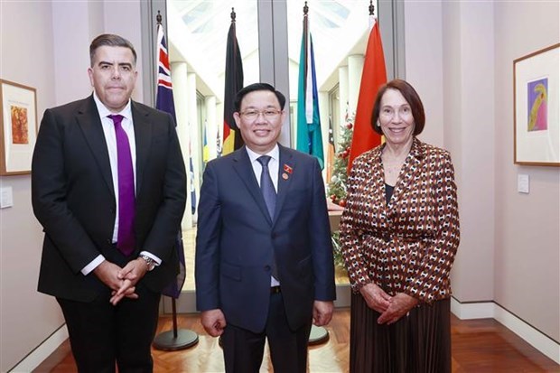 Председатель НС Выонг Динь Хюэ провел переговоры с председателем Сената и спикером Палаты представителеи Австралии hinh anh 1