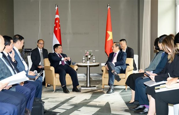 Вьетнам и Сингапур продвигают экономические связи hinh anh 2
