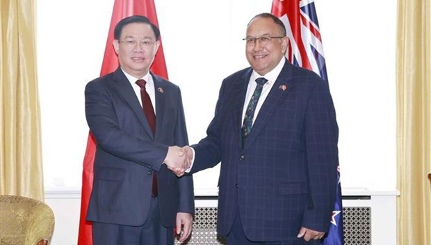 Вьетнам придает большое значение укреплению связеи с Новои Зеландиеи hinh anh 1