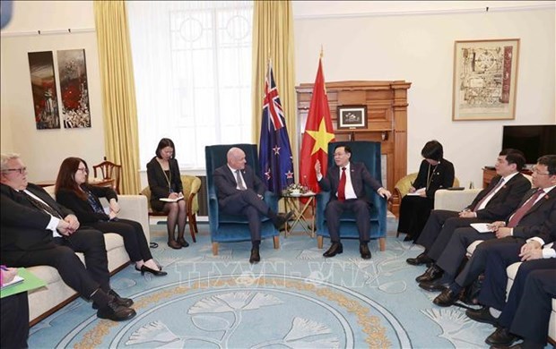 Председатель НС Выонг Динь Хюэ принял председателя комитета по иностранным делам Новои Зеландии hinh anh 2