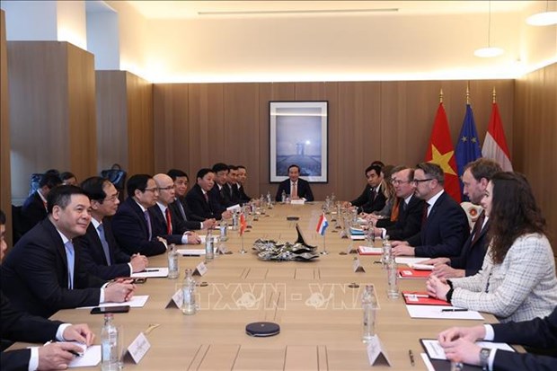 Премьер-министр Фам Минь Тьинь провел переговоры с премьер-министром Люксембурга Ксавье Беттелем hinh anh 2