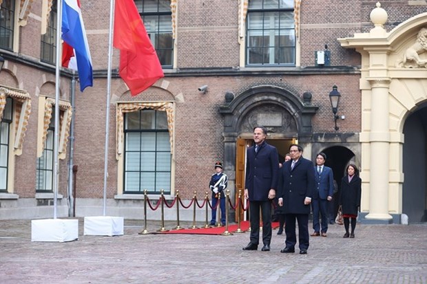 Официальная церемония встречи премьер-министра Фам Минь Тьиня в Королевстве Нидерландов hinh anh 2
