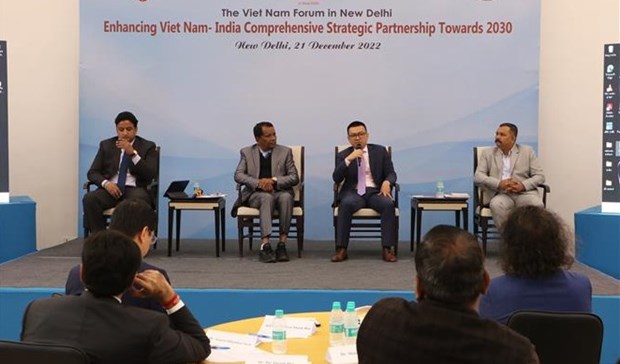 Вьетнамскии форум: укрепление всеобъемлющего стратегического партнерства между Вьетнамом и Индиеи hinh anh 1