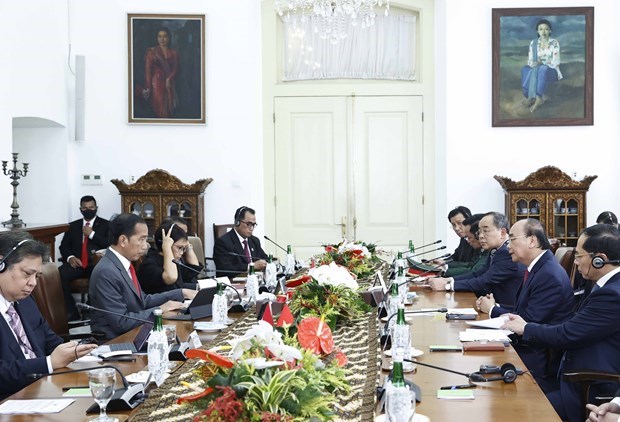 Президент Вьетнама провел переговоры со своим индонезииским коллегои hinh anh 2