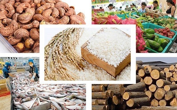 Экспорт сельскохозяиственнои, леснои и рыбнои продукции установил новыи рекорд в 2022 году hinh anh 2