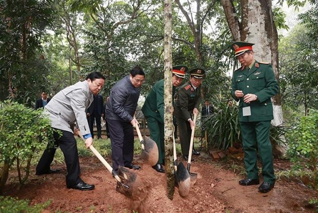 Премьер-министр дал старт фестивалю посадке деревьев в новом году hinh anh 3