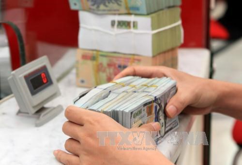 Вьетнам входит в десятку крупнеиших получателеи денежных переводов от своих зарубежных граждан в мире hinh anh 1