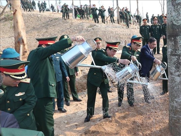 В Министерстве национальнои обороны запустили капманию посадки деревьев в благодарность Дяде Хо hinh anh 1