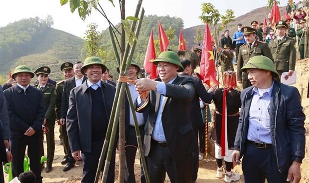 Председатель НС запускает фестиваль посадки деревьев в Туенкуанге hinh anh 1