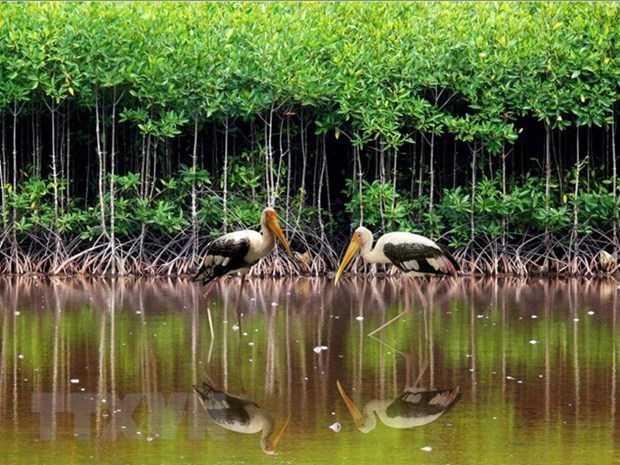 Всемирныи день водно-болотных угодии 2023 года будет отмечаться во Вьетнаме различными мероприятиями hinh anh 3