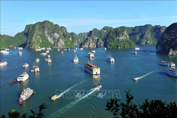 Вьетнам вошел в число лучших мест для бюджетного медового месяца hinh anh 1