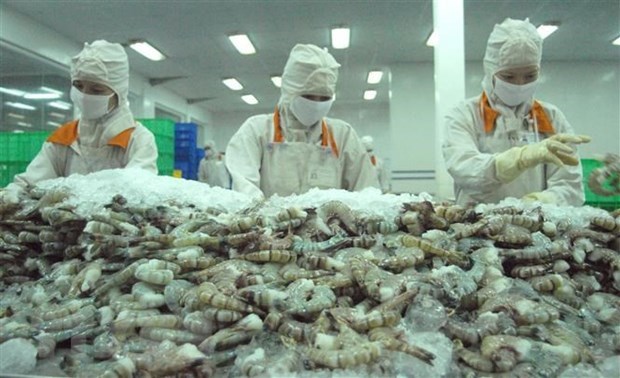 Баклиеу планирует экспортировать креветки на 1 млрд. долл. США hinh anh 1