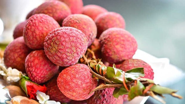 Вьетнамские фрукты занимают львиную долю на австралииском рынке hinh anh 1