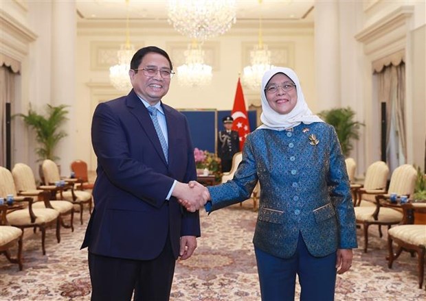 Премьер-министр Фам Минь Тьинь совершил встречу с президентом Сингапура hinh anh 1