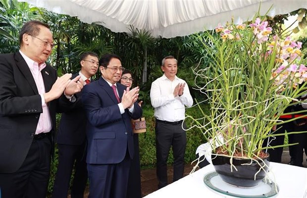 Премьер-министр Фам Минь Тьинь в Сингапуре возложил цветы к памятнику президенту Хо Ши Мину hinh anh 2