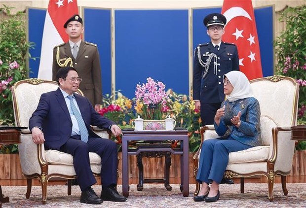 Премьер-министр Фам Минь Тьинь совершил встречу с президентом Сингапура hinh anh 2