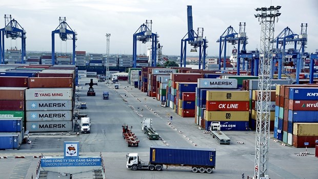 Экспорт Вьетнама в Америку превысил 8 миллиардов долларов США в первыи месяц года hinh anh 1
