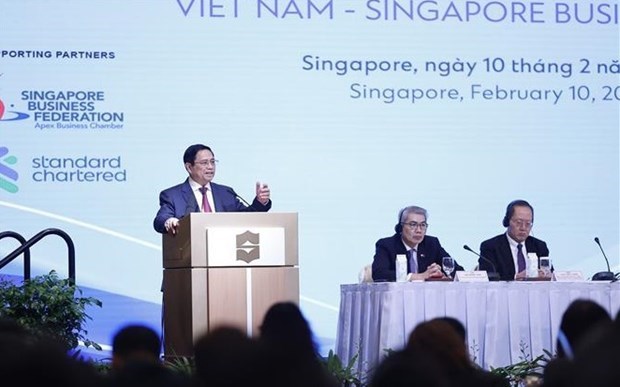 Премьер-министр Фам Минь Тьинь принял участие во Вьетнамско-сингапурском бизнес-форуме hinh anh 1