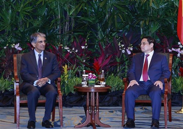 Премьер-министр Фам Минь Тьинь принял ведущие компании Сингапура hinh anh 3