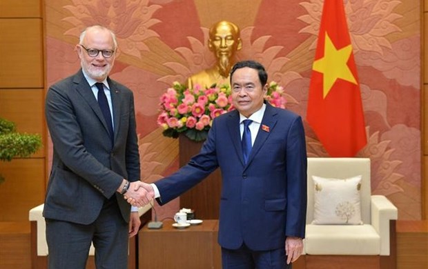 Более сильное и эффективное продвижение сотрудничества между Вьетнамом и Франциеи hinh anh 1