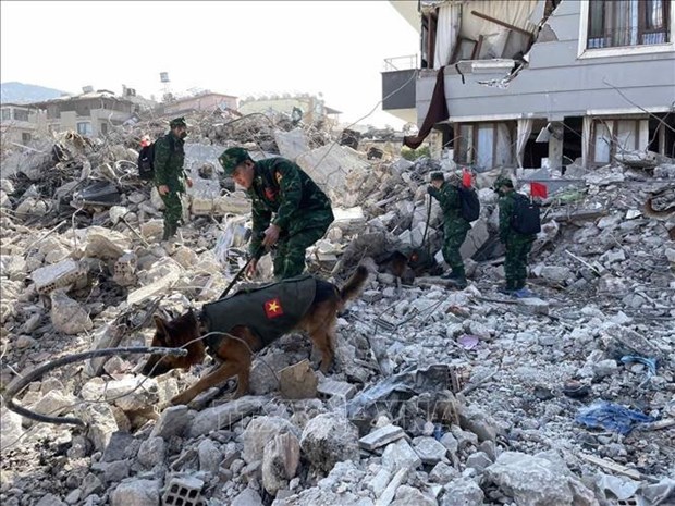 Правительство Вьетнама поддерживает Турцию и Сирию в преодолении последствии землетрясения hinh anh 1