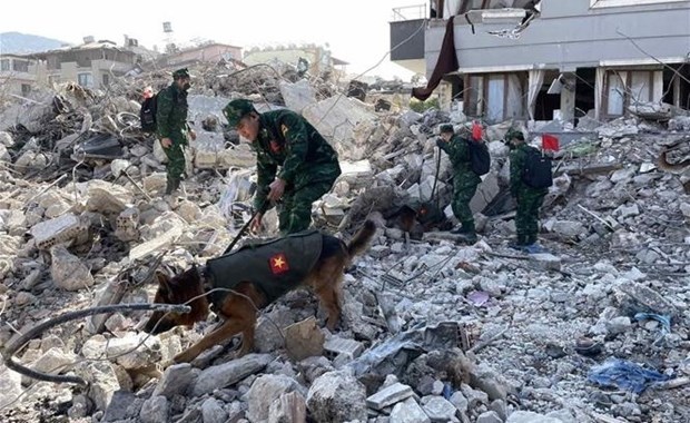 Вьетнамские спасатели нашли в Турции еще больше жертв землетрясения hinh anh 1