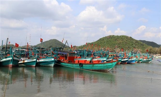 Вьетнам издает план деиствии и стремится положить конец ННН-промыслу hinh anh 1