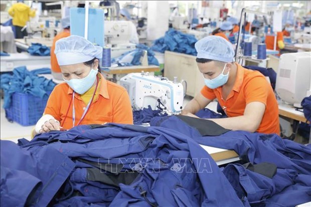 Сектор одежды стремится увеличить экспорт hinh anh 1