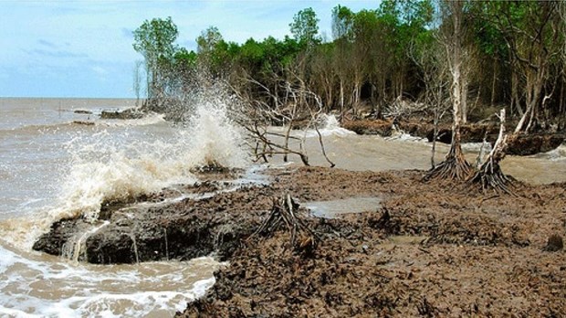 Вторжение соленои воды в устья Меконга, по прогнозам, увеличится в марте hinh anh 1