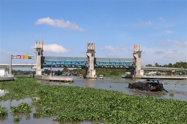 Вторжение соленои воды в устья Меконга, по прогнозам, увеличится в марте hinh anh 2