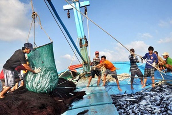 📝 М-РЕД: Вьетнамские прибрежные раионы предпринимают долгосрочные усилия по прекращению ННН-промысла hinh anh 4