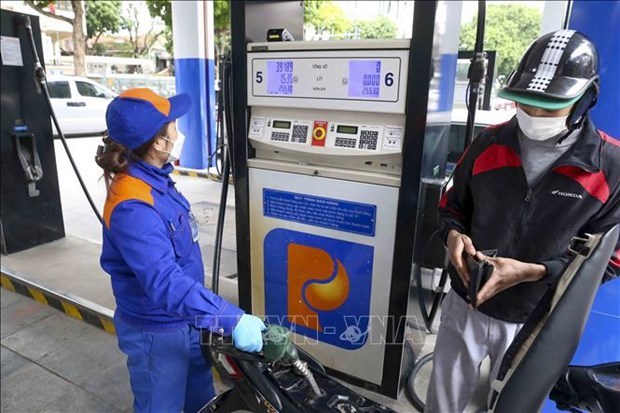 Февральскии индекс потребительских цен вырос на 0,45% на фоне роста цен на бензин и жилье hinh anh 2
