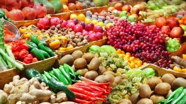 Экспорт фруктов и овощеи характеризуется высоким потенциалом, но жесткими требованиями hinh anh 2