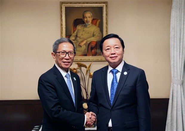 Вице-премьер Вьетнама встретился с министром энергетики Филиппин в Токио hinh anh 1