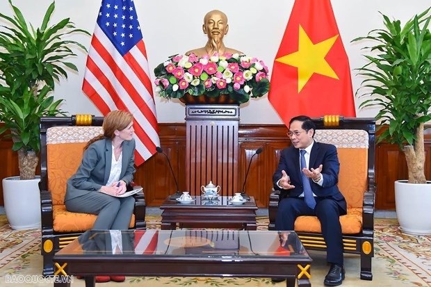Министр иностранных дел Буи Тхань Шон принял генерального директора USAID hinh anh 1