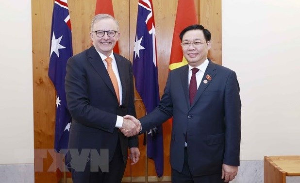 Вьетнам и Австралия поддерживают плодотворное стратегическое партнерство hinh anh 1