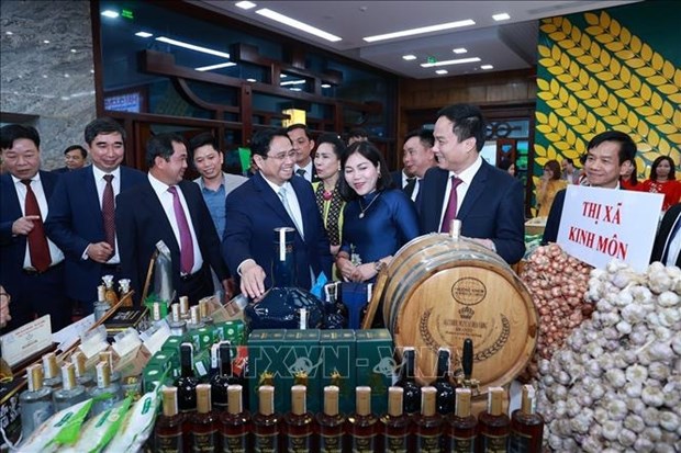 Премьер-министр в Хаизыонге: необходимо переориентировать мышление на «аграрную экономику» hinh anh 2