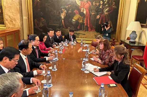 Заместитель председателя НС провел переговоры с руководством парламента Испании hinh anh 1