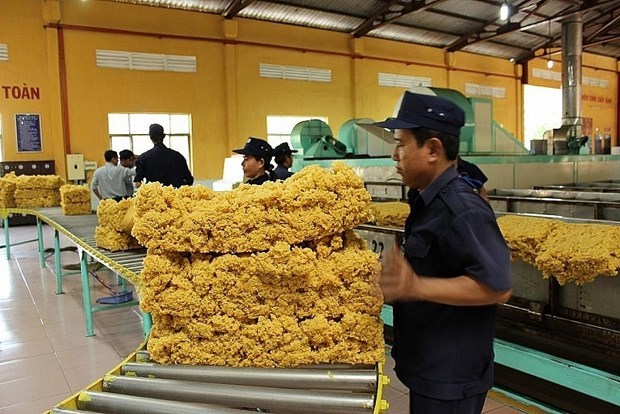 Вьетнам – четвертыи по величине поставщик каучука в РК hinh anh 1