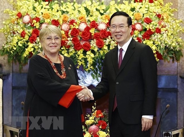 Президент Во Ван Тхыонг принял бывшего президента Чили hinh anh 2