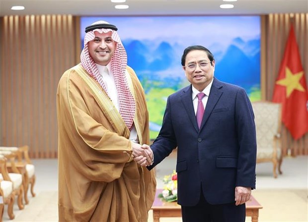 Премьер-министр Фам Минь Тьинь принял посла Саудовскои Аравии во Вьетнаме hinh anh 1